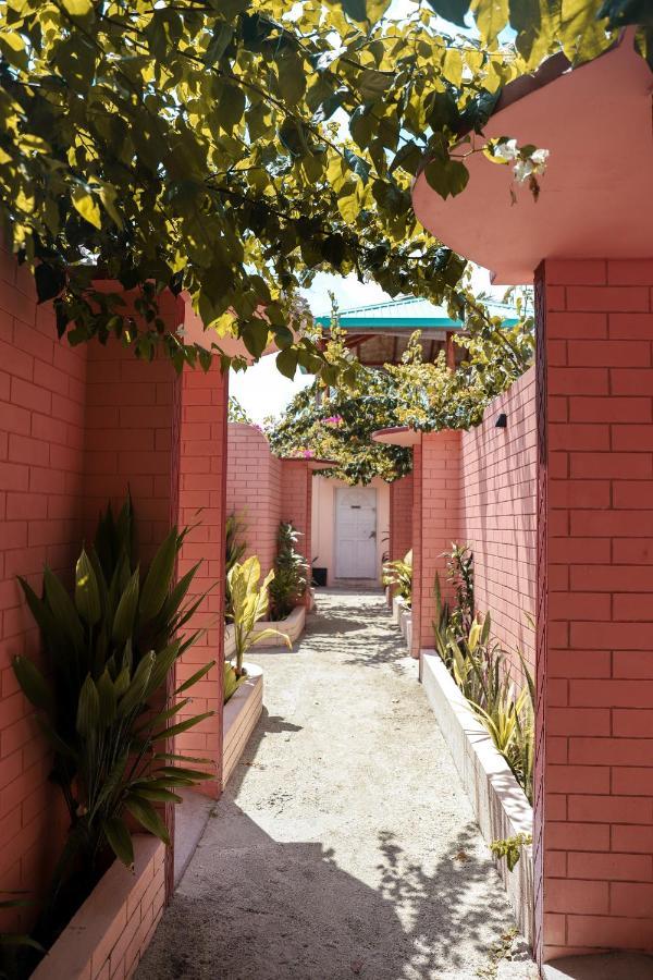 New Breeze Thoddoo Inn Extérieur photo